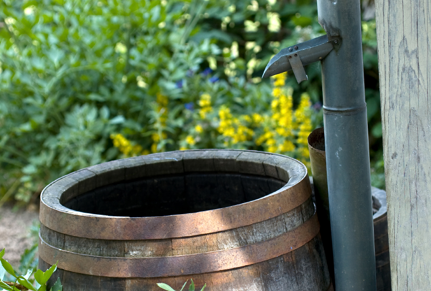 Regenwassernutzung