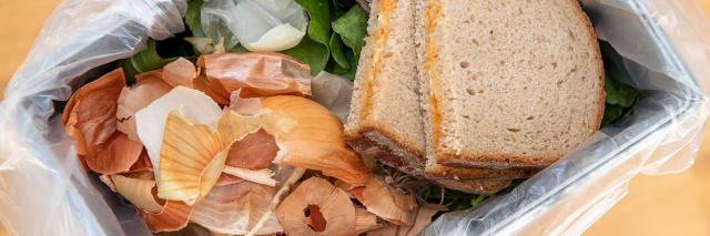 Verschwendung von Lebensmitteln