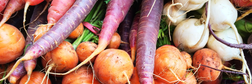 Möhren, Rote Bete, Rettich und anderes Wurzel- und Knollengemüse