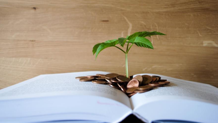 Pflanze wächst aus einem Lehrbuch und Kleingeld