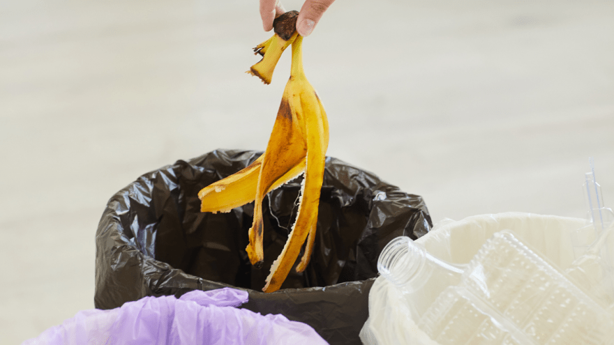 Hand wirft Bananenschale in den Abfall