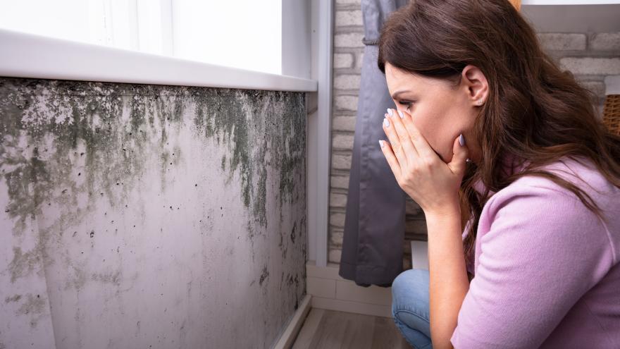 Eine Frau schaut geschockt auf ihre schimmelige Wand.