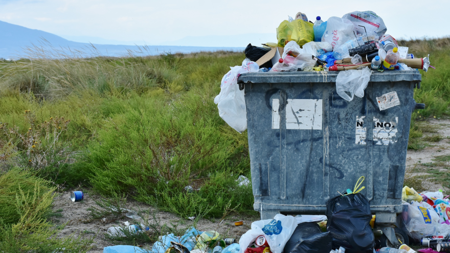 Eine überfüllter Müllcontainer steht an einer grünen Wiese