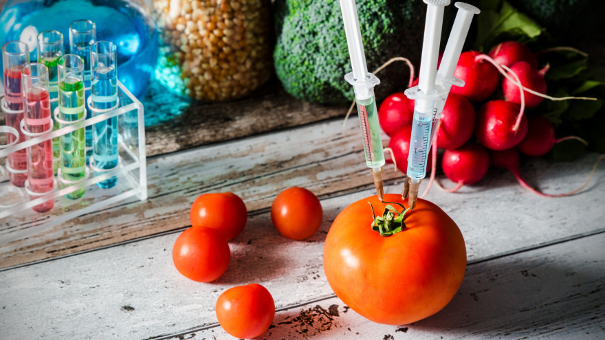Lebensmittel neben Laborzubehör - in einer Tomate stecken mehrere Spitzen