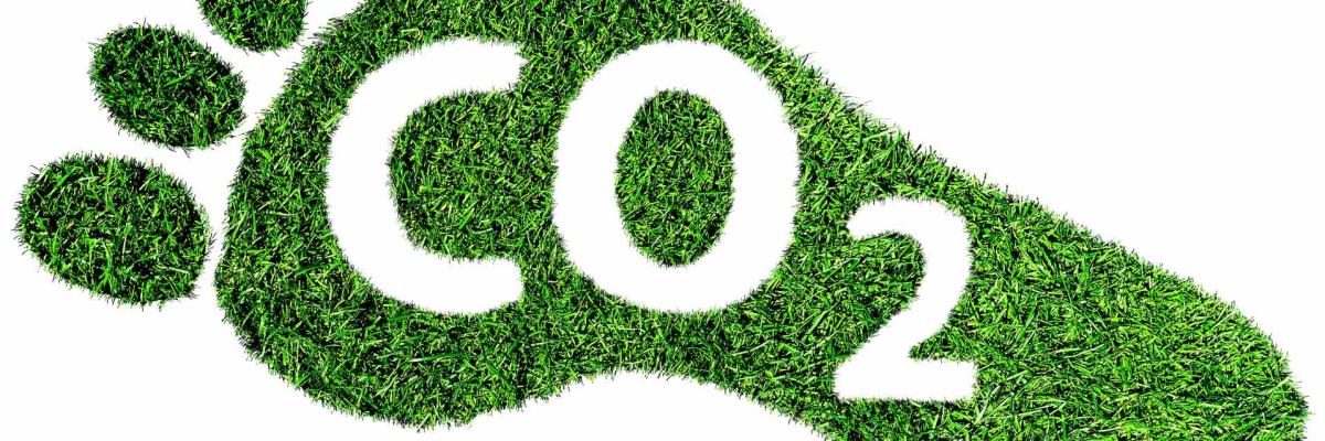 Ein Fuß aus Gras, auf dem das Wort CO2 steht
