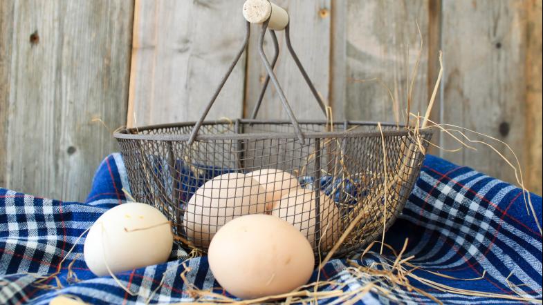 Bio-Eier im Drahtkorb