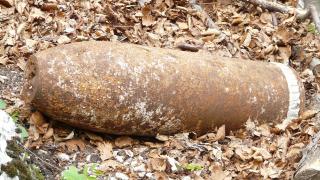 Blindgänger im trockenen Laub