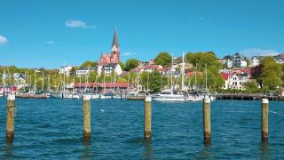 Bild von Petra auf Pixabay