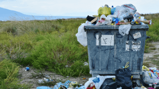 Eine überfüllter Müllcontainer steht an einer grünen Wiese