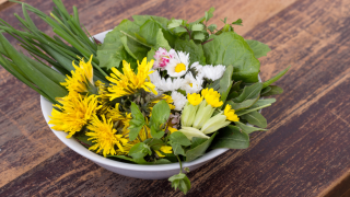 Ein Teller mit unterschiedlichen Wildkräutern steht auf einem Holztisch.