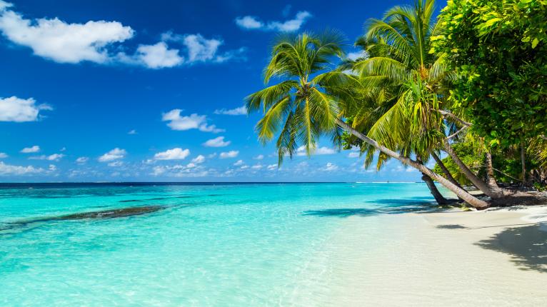 Strand mit Meer und Palmen